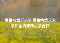 维也纳音乐大学,维也纳音乐大学和国内哪所大学合作