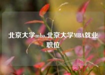 北京大学mba,北京大学MBA就业职位