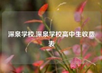 深泉学校,深泉学校高中生收费表