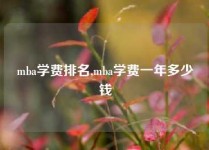 mba学费排名,mba学费一年多少钱