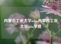 内蒙古工业大学mba,内蒙古工业大学mba学费