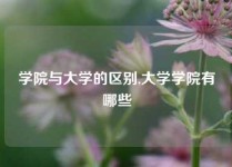 学院与大学的区别,大学学院有哪些