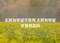 去新加坡留学费用,去新加坡留学费用高吗