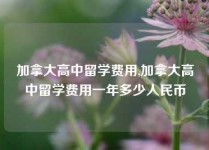 加拿大高中留学费用,加拿大高中留学费用一年多少人民币