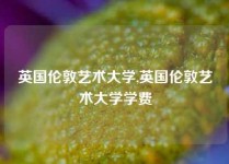 英国伦敦艺术大学,英国伦敦艺术大学学费