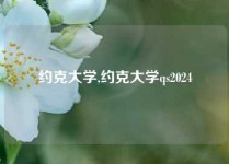 约克大学,约克大学qs2024