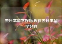 去日本留学好吗,现在去日本留学好吗