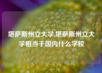 堪萨斯州立大学,堪萨斯州立大学相当于国内什么学校