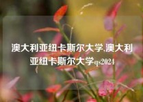 澳大利亚纽卡斯尔大学,澳大利亚纽卡斯尔大学qs2024