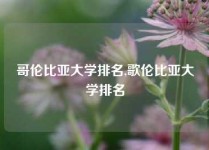 哥伦比亚大学排名,歌伦比亚大学排名