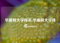 华盛顿大学排名,华盛顿大学排名usnews