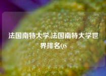 法国南特大学,法国南特大学世界排名QS