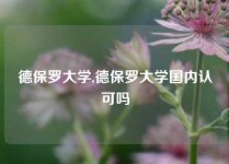 德保罗大学,德保罗大学国内认可吗