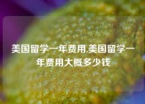 美国留学一年费用,美国留学一年费用大概多少钱