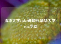 清华大学emba研修班,清华大学emba学费