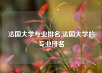 法国大学专业排名,法国大学的专业排名