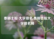 泰晤士报 大学排名,泰晤士报大学排名榜