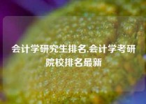 会计学研究生排名,会计学考研院校排名最新