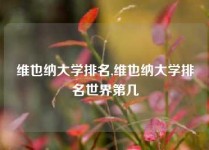 维也纳大学排名,维也纳大学排名世界第几