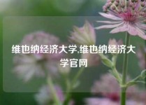 维也纳经济大学,维也纳经济大学官网