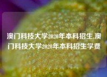 澳门科技大学2020年本科招生,澳门科技大学2020年本科招生学费