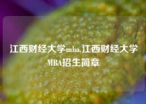 江西财经大学mba,江西财经大学MBA招生简章