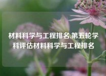 材料科学与工程排名,第五轮学科评估材料科学与工程排名