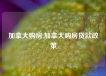 加拿大购房,加拿大购房贷款政策