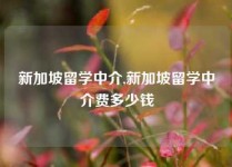 新加坡留学中介,新加坡留学中介费多少钱