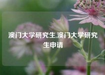 澳门大学研究生,澳门大学研究生申请