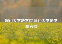 澳门大学法学院,澳门大学法学院官网