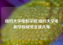 纽约大学电影学院,纽约大学电影学院研究生读几年