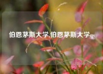 伯恩茅斯大学,伯恩茅斯大学qs