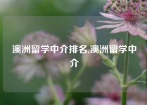 澳洲留学中介排名,澳洲留学中介