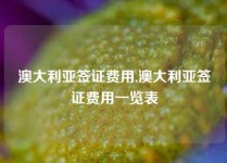 澳大利亚签证费用,澳大利亚签证费用一览表