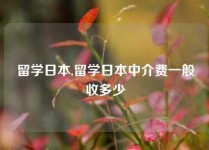 留学日本,留学日本中介费一般收多少