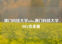 澳门科技大学mba,澳门科技大学MBA含金量