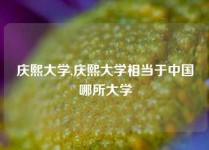 庆熙大学,庆熙大学相当于中国哪所大学