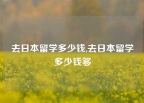 去日本留学多少钱,去日本留学多少钱够