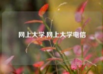 网上大学,网上大学电信