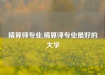 精算师专业,精算师专业最好的大学