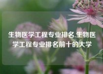 生物医学工程专业排名,生物医学工程专业排名前十的大学