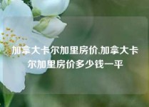 加拿大卡尔加里房价,加拿大卡尔加里房价多少钱一平