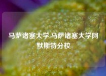 马萨诸塞大学,马萨诸塞大学阿默斯特分校