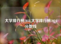 大学排行榜2018,大学排行榜2024分数线