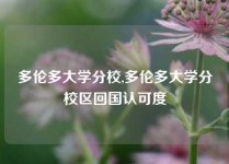 多伦多大学分校,多伦多大学分校区回国认可度