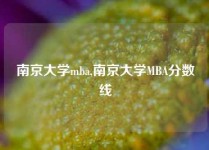 南京大学mba,南京大学MBA分数线