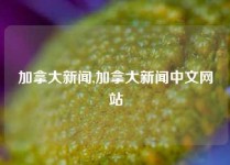 加拿大新闻,加拿大新闻中文网站