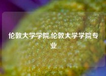 伦敦大学学院,伦敦大学学院专业