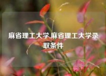 麻省理工大学,麻省理工大学录取条件